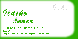 ildiko ammer business card